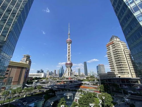 上海總部經濟又添 新鮮血液