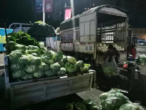 川祖廟農貿市場整體搬遷，京投果蔬農副產品批發市場引領忠縣商貿流通業轉型升級
